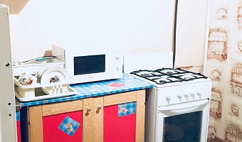 1-комнатная квартира Пионерская 55 в Микуне - фото 3
