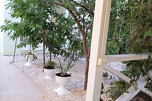 Пансионаты Евпатории рядом с пляжем, "Зеленый дворик" рядом с пляжем