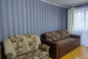 1-комнатная квартира Суворова 105/1