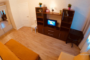 1-комнатная квартира Севастопольская 9 в Санкт-Петербурге 2