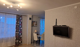 Квартира-студия Пригородная 10 в Сортавале - фото 3