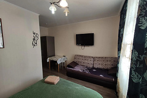 1-комнатная квартира Сосновая 1к3 в Котельниках 5