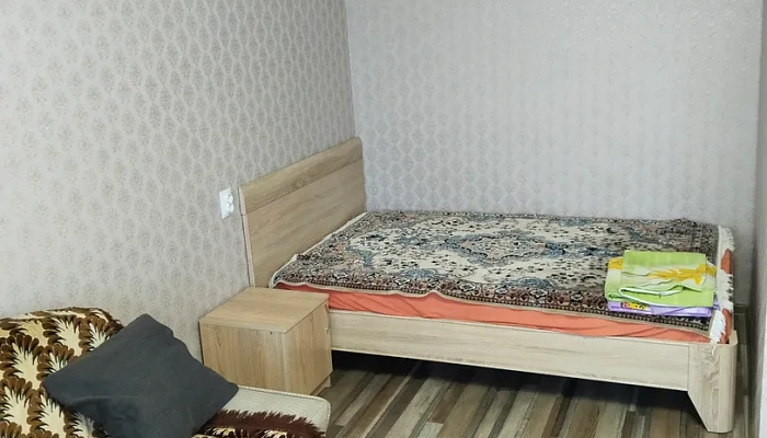 1-комнатная квартира Некрасова 9 в Алексеевке - фото 1