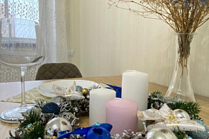 1-комнатная квартира Давыдовская 21