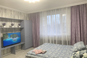Квартиры Зеленограда 1-комнатные, квартира-студия Новокрюковская к1436 1-комнатная - цены