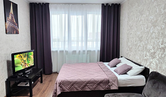 1-комнатная квартира Краснозвёздная 35 в Нижнем Новгороде - фото 2