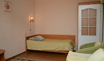 1-комнатная квартира Спиридонова 33 в Сегеже - фото 3