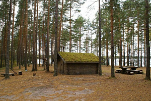 &quot;Лес&quot; эко-отель в п. Зеркальный (Выборг) фото 24