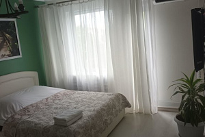 Мини-отели в Великих Луках, "Arimafeya plus" 1-комнатная мини-отель - фото