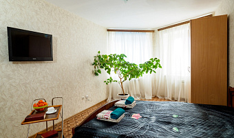 1-комнатная квартира Рыленкова 57 в Смоленске - фото 2
