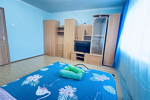 Квартира в , 1-комнатная Дмитриева 4