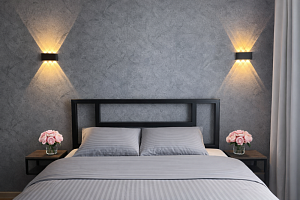 2х-комнатная квартира Александра Францева 42