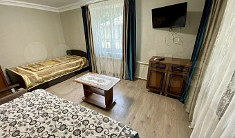 1-комнатная квартира Жуковского 35 в Кисловодске - фото 2