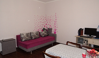 1-комнатная квартира Абазинская 35 в Сухуме - фото 5