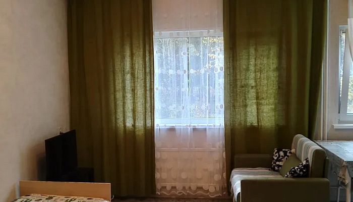 &quot;Уютная с видом на лес&quot; 1-комнатная квартира в Костомукше - фото 1