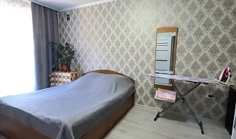 1-комнатная квартира Ишкова 99 в Михайловске - фото 3