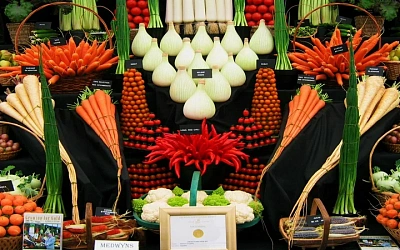 Гастрономическая карта Сочи — где попробовать лучшие локальные продукты