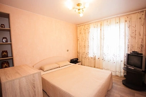 3х-комнатная квартира Богайчука 24 в Металлострое фото 17