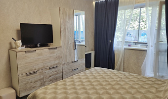 1-комнатная квартира Семенова 16 в Озерске - фото 3