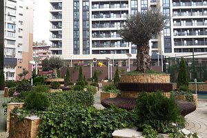 "Сокол" квартира-студия Горького 24