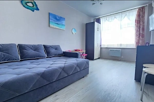 1-комнатная квартира Мирная 11к3