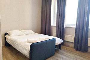 "СolorApartments. Серый блюз" квартира-студия