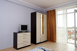 1-комнатная квартира Черноморская 39 в Анапе фото 8