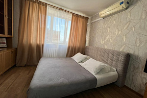 1-комнатная квартира Максима Горького 158 в Нижнем Новгороде фото 10