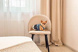 "Хвостик на отдыхе" 1-комнатная квартира