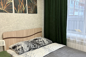 Квартира-студия Пискунова 148/1