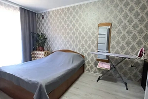 1-комнатная квартира Ишкова 99 в Михайловске фото 16