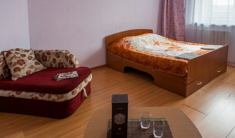 1-комнатная квартира Байкальская 188/1 в Иркутске - фото 2