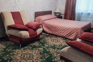 1-комнатная квартира Мира 169 в Котово фото 8