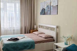 1-комнатная квартира Ленинградский 11/1