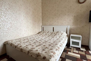 1-комнатная квартира Гагарина 21/8