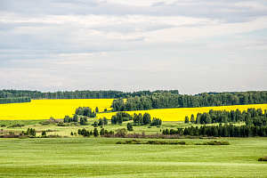 Курганская область