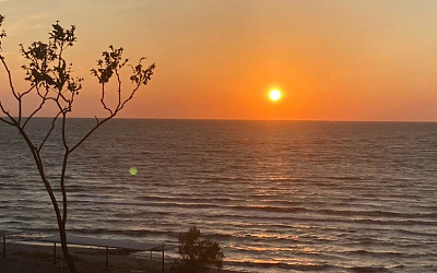 Что делать вечером в Ейске - рестораны, прогулки и отдых