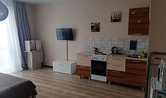 Квартира-студия Петра Подзолкова 26 в Красноярске - фото 4