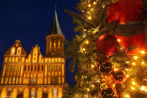 1-комнатная квартира Профессора Севастьянова 15