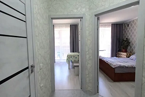 1-комнатная квартира Ишкова 99 в Михайловске фото 9