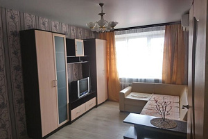 1-комнатная квартира Черноморская 2/а кв 23 в Ольгинке фото 6