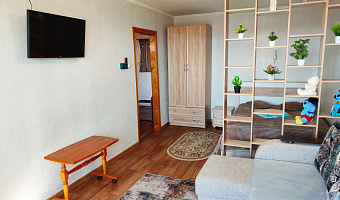 1-комнатная квартира Волочаевская 21 в Хабаровске - фото 2