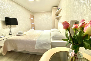 Апарт-отели в Петропавловске-Камчатском, 1-комнатная Тушканова 10 апарт-отель - цены