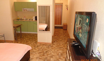 1-квартира 1-а Рабочая 8 в Томске - фото 4