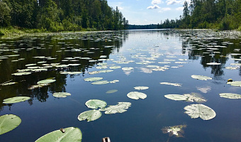 &quot;У Озера&quot; бунгало под-ключ в п. Шушино (Приозёрск) - фото 2