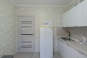 1-комнатная квартира Ишкова 99 в Михайловске фото 6