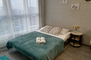 Комната в , квартира-студия Восточно-Кругликовская 42/3к2 - цены