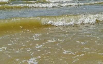 Цветение Азовского моря в Ейске — от чего вода становится зелёной