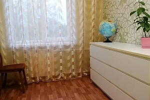 2х-комнатная квартира Владимирская 6 в Сегеже фото 4