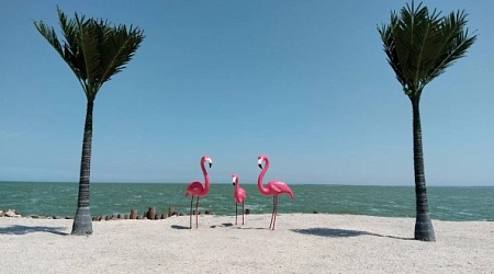 Ейск или Таганрог - какой курорт Азовского моря выбрать